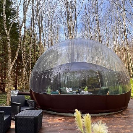 Logement Insolite "Bubble Jungle" Saint-Evarzec Exterior photo