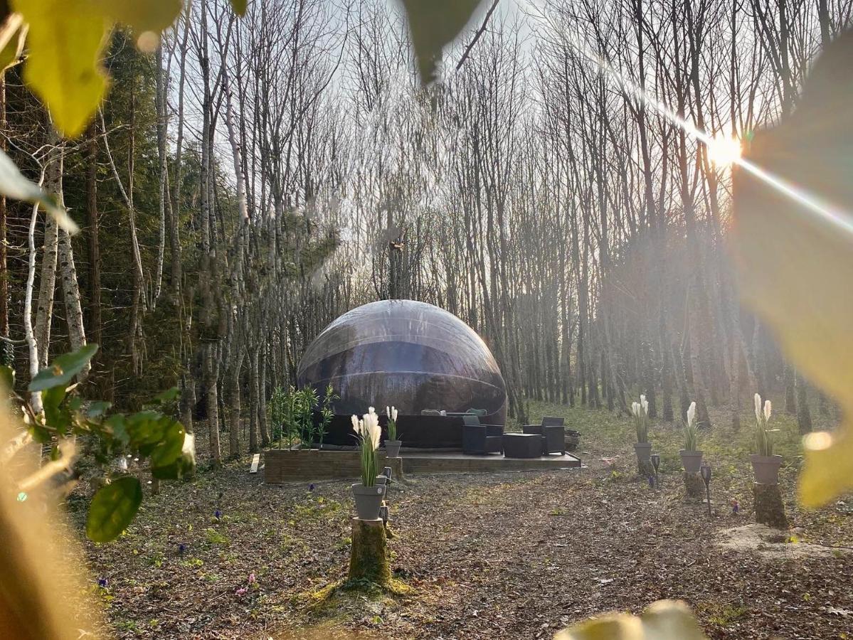 Logement Insolite "Bubble Jungle" Saint-Evarzec Exterior photo